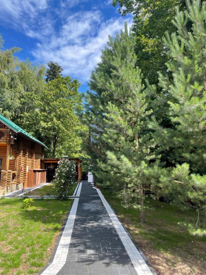 Chalet Mlyn 米戈韦 外观 照片